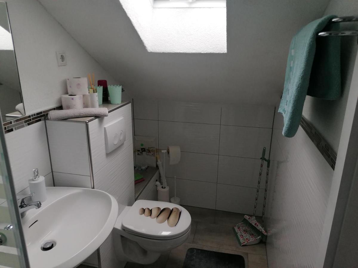 Apartment An Der Schweizer Grenze Laufenburg Bagian luar foto