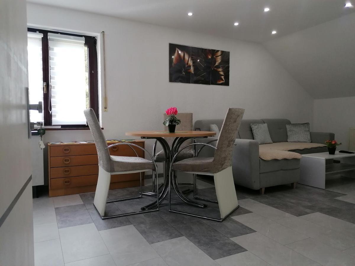 Apartment An Der Schweizer Grenze Laufenburg Bagian luar foto